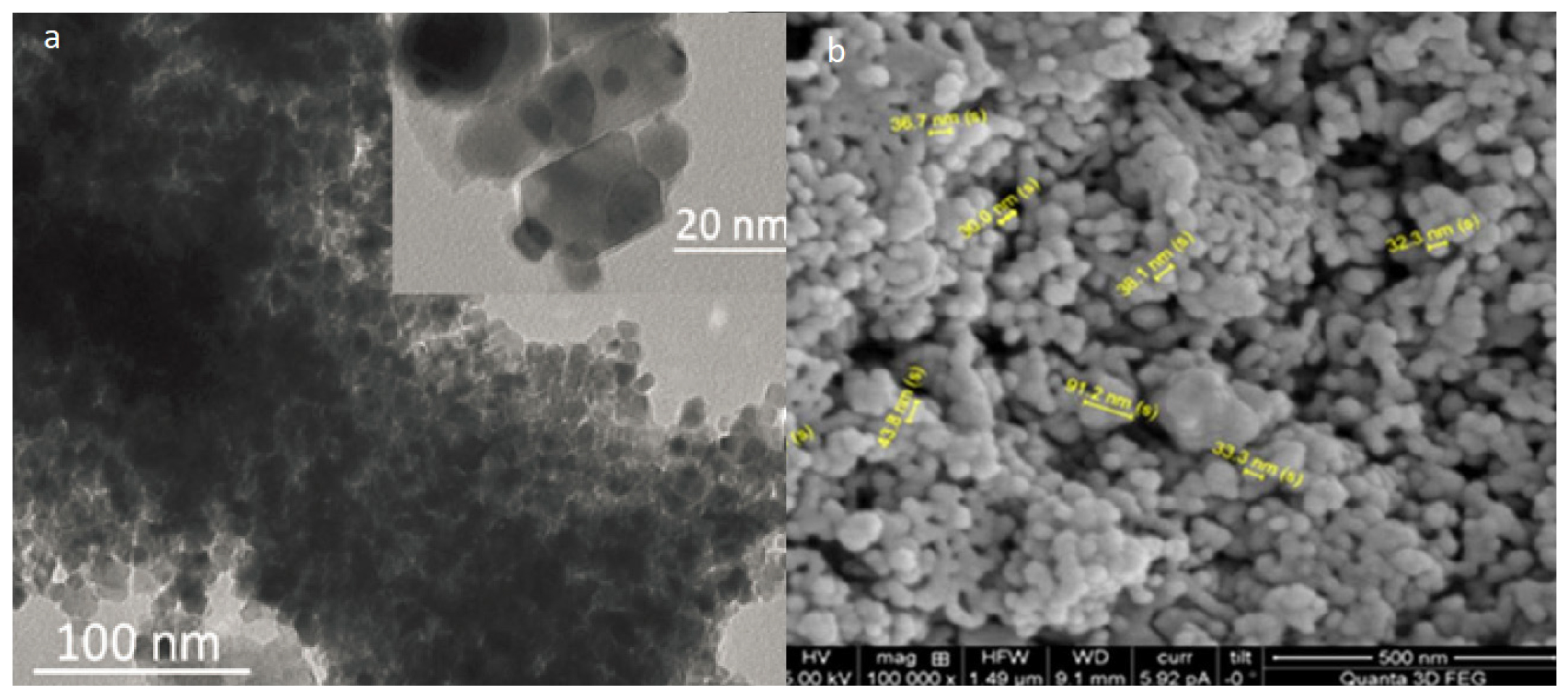 TEM and SEM micrograph of NiO nanoparticles.