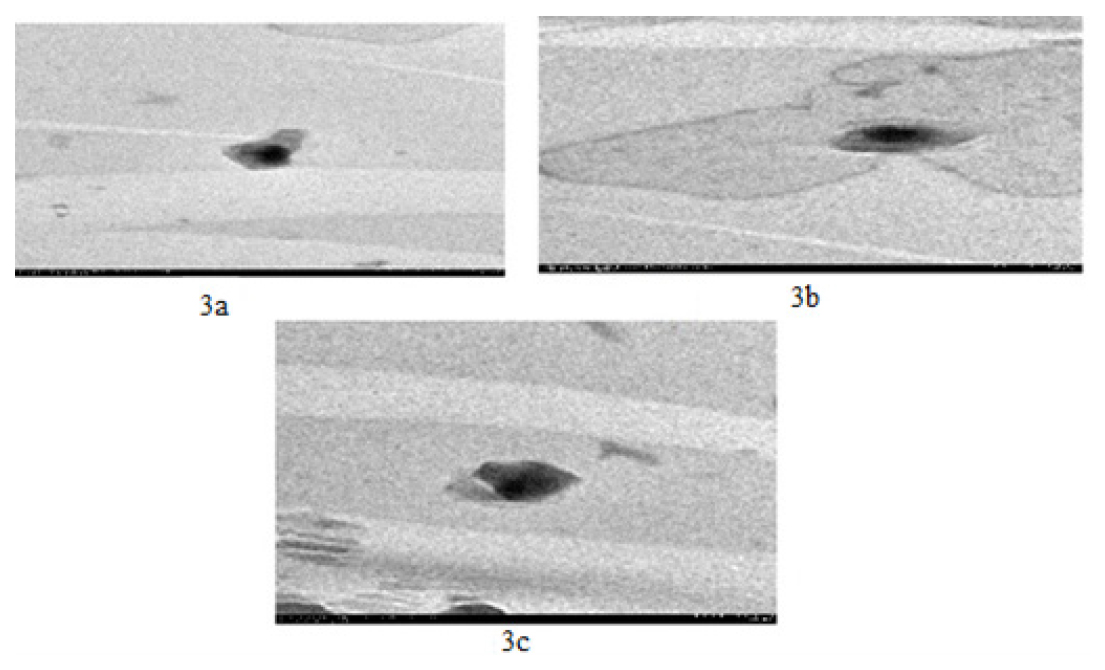 (a, b, c) TEM Image of Optimized Cubosome Dispersion (F7).