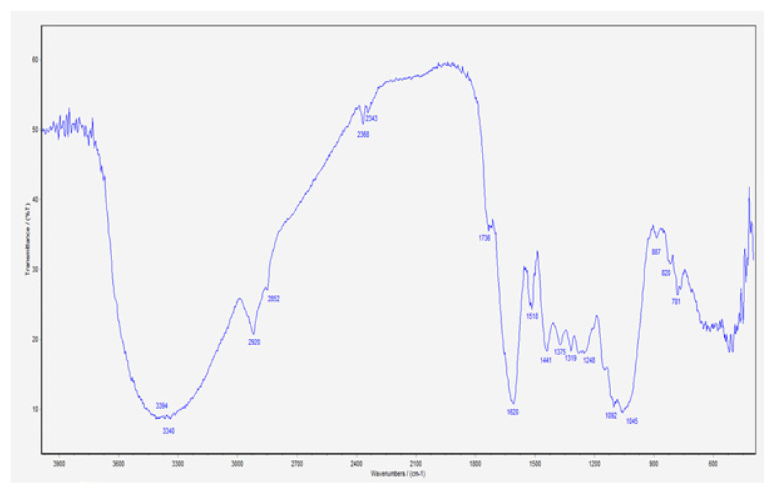 FTIR spectra of Cissus vitiginea L. stem.