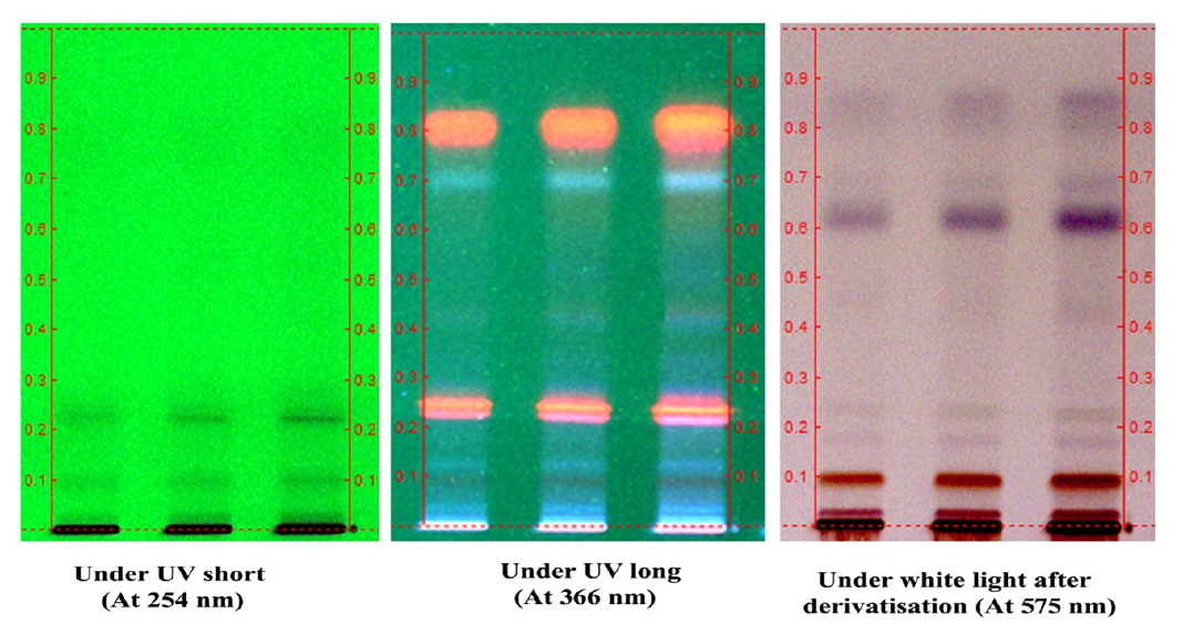 HPTLC profile of alcohol extract of the stem of Cissus vitiginea L. Solvent system-Toluene: Ethyl acetate: Formic acid (5:7:0.1); Volume applied; Track 1-5 μL: Track 2-7 μL: Track 1-10 μL.