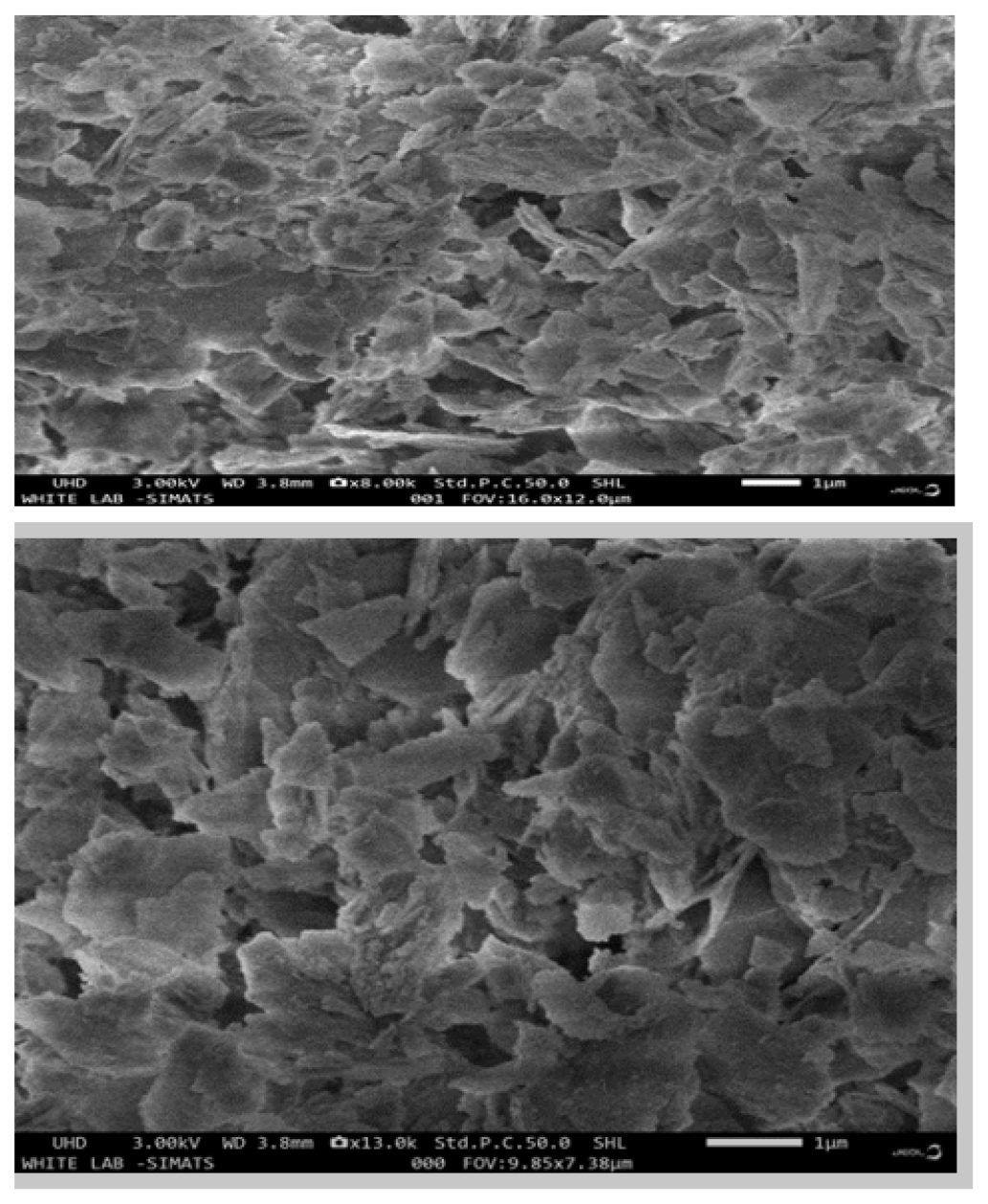 SEM Analysis of CuONPs Morphology.