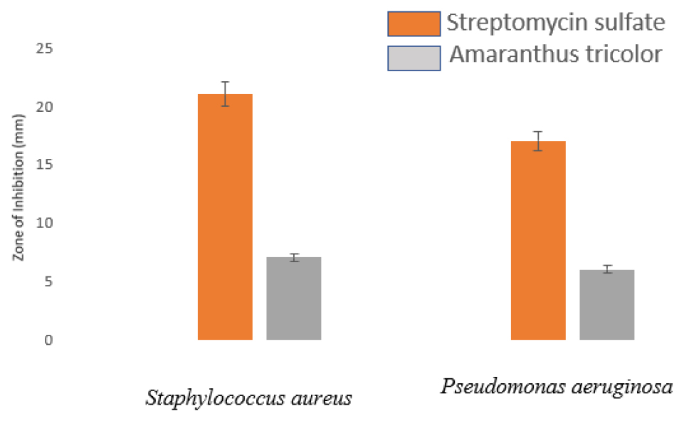 Anti-bacterial activity of green synthesized CuONPs using A. tricolor.