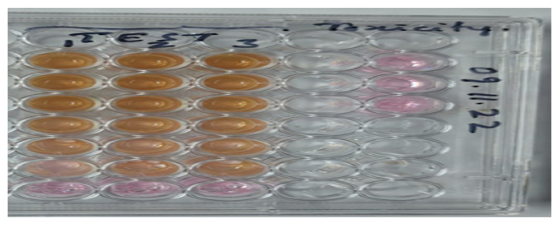 Exposure of Lymphocytes to HEEGH for 72 hr.