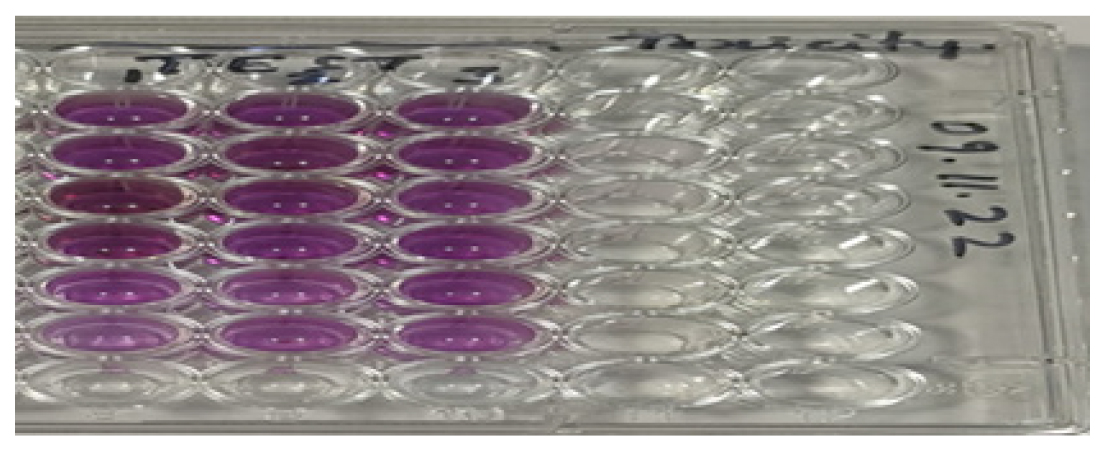Plate shown after dissolving the formazan crystals with DMSO.