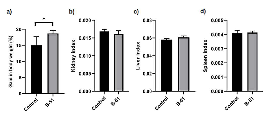 Effect of probiotic B-51 supplementation on body weight gain (a), kidney index (b), liver index (c) and spleen index (d) in two groups of experimental mice. Data are represented as means±standard deviations.*p<0.05.
