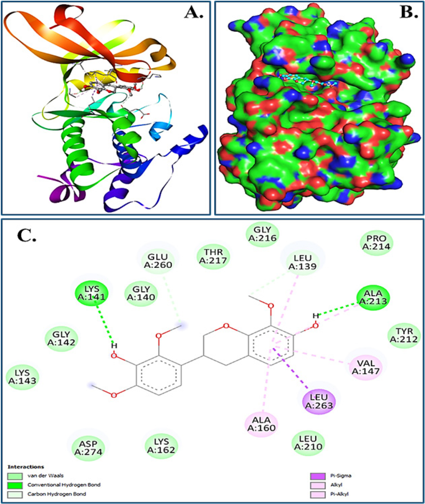 Evaluating the Therapeutic Potential of Duartin against Aurora A Protein Kinase in Breast Cancer Cells Evaluating the Therapeutic Potential of Duartin against Aurora A Protein Kinase in Breast Cancer Cells