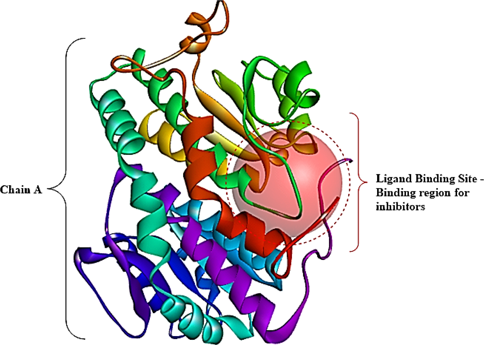 Design, Synthesis, in silico Molecular Docking, ADMET Analysis and in vitro Antibacterial Activity of Pyranopyrazole Derivatives as Potent Glucosamine-6-Phosphate Synthase Inhibitor Design, Synthesis, in silico Molecular Docking, ADMET Analysis and in vitro Antibacterial Activity of Pyranopyrazole Derivatives as Potent Glucosamine-6-Phosphate Synthase Inhibitor