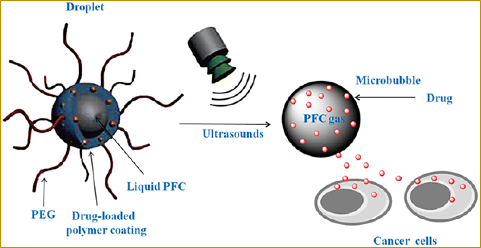 Ultrasound responsive nanodrug delivery system.54