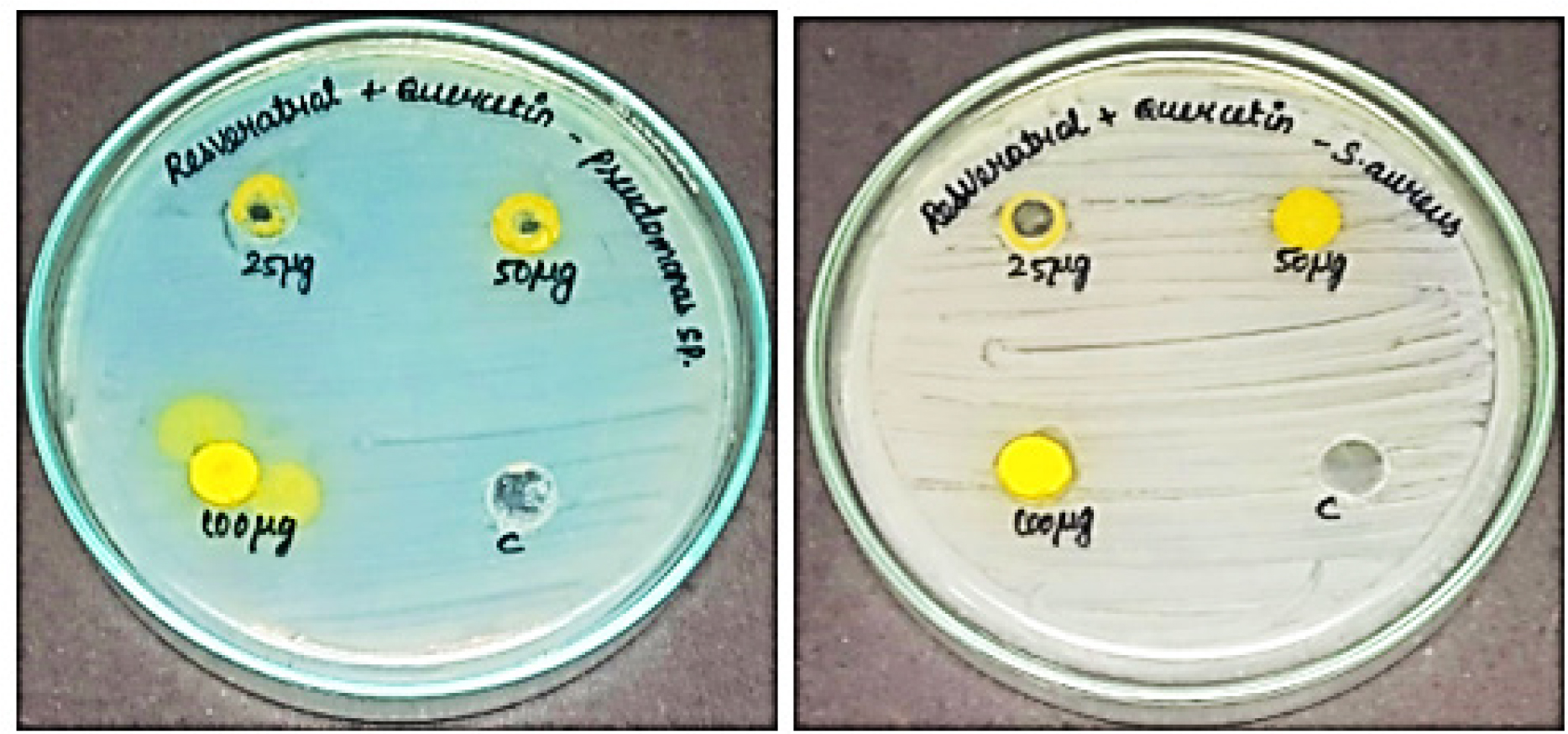 The agar well plate represents the anti-microbial activity.