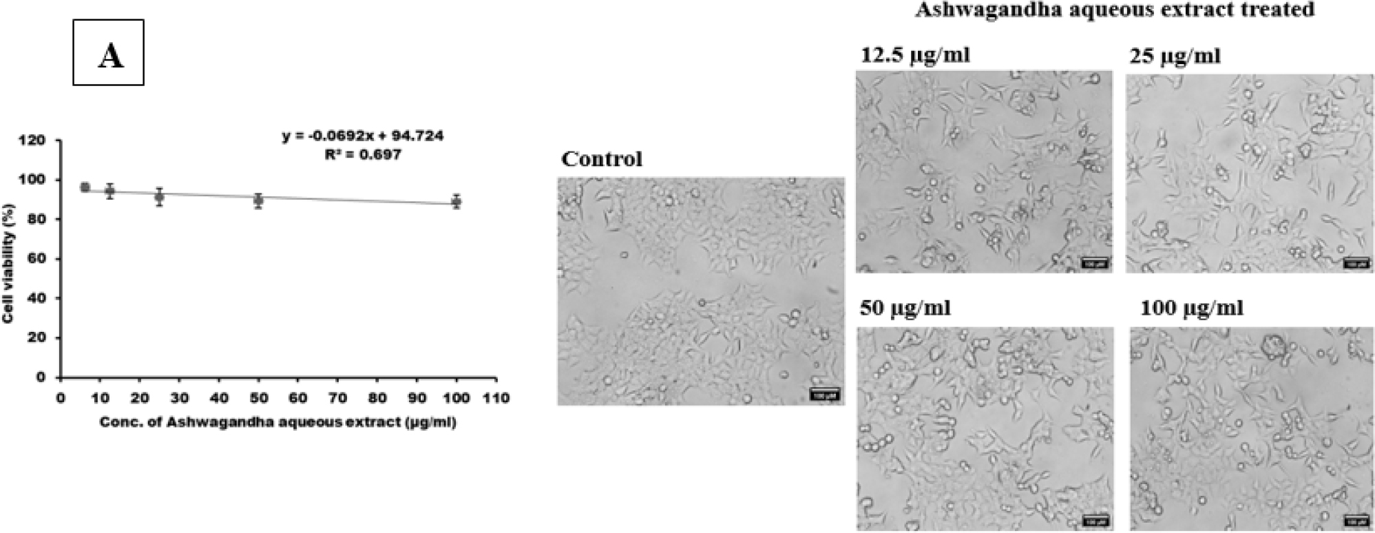 Effect of AAE and Dexamethasone on Cell Viability and Morphology (A) SH-SY5Y cells treated with ashwagandha aqueous extract (B) the SH-SY5Y cells treated with Dex (C) SH-SY5Y cells from various groups. The values are presented as mean±SD. * p<0.001 compared to the control group; ** p<0.001 between group.