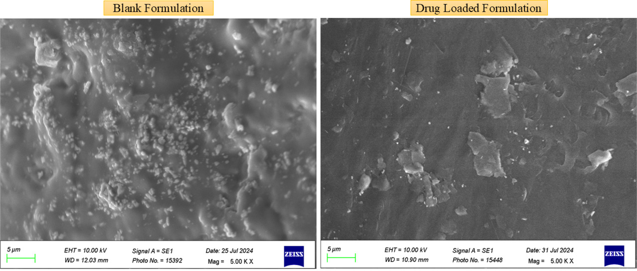 SEM micrographs of Blank Formulation and Drug Loaded Formulation in situ Forming Dental Cement their respective micrographs showing the formation of an apatite layer on their surfaces (Scale bar=5 μm).