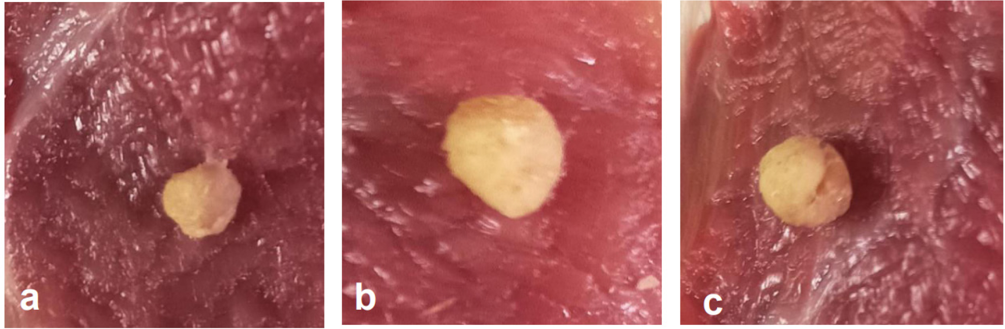 Adhesion Test Pictures of samples A, B, and C.