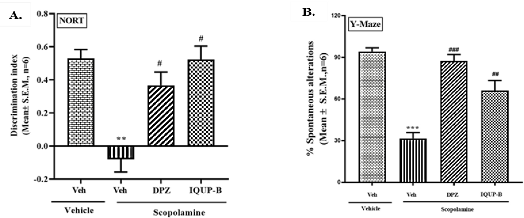 Effect of IQUP-B on discrimination index and short-term memory by using NORT (A) and Y maze (B).