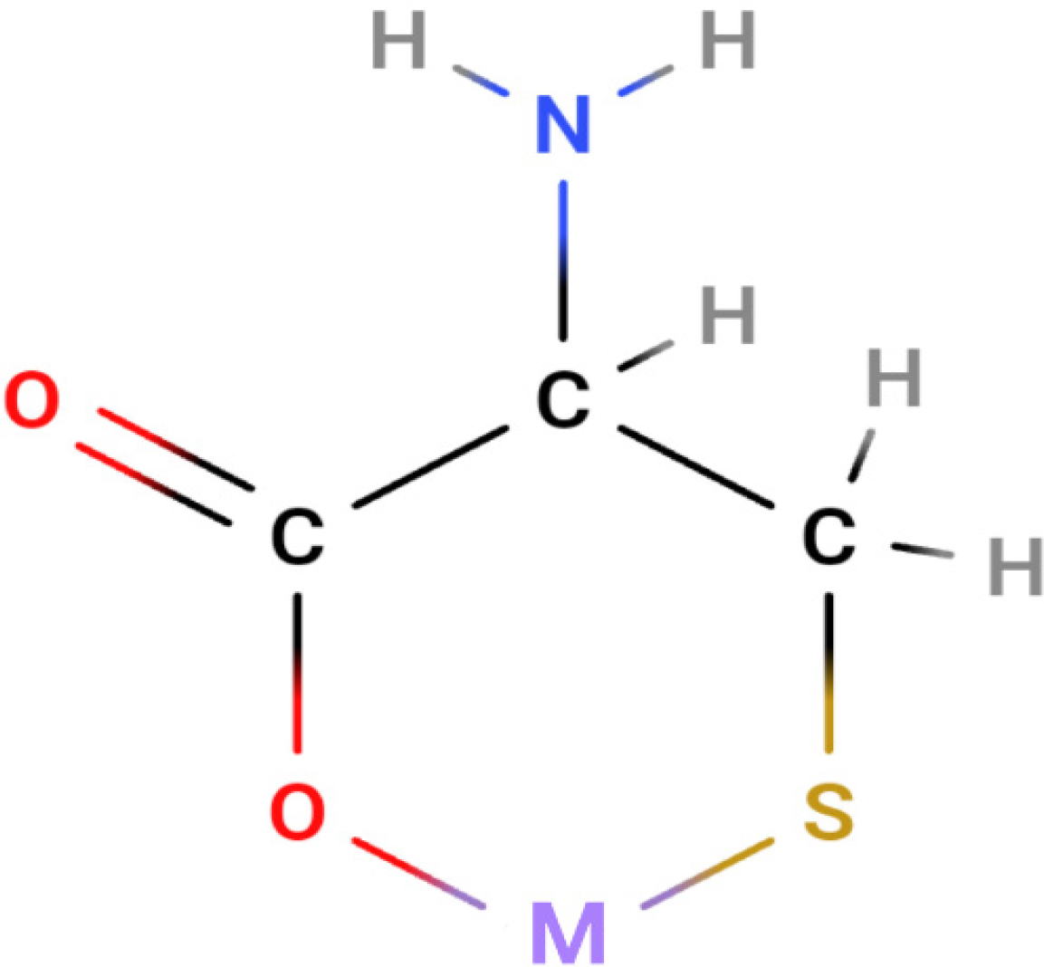 Proposed Structure of Synthesized Metal Complex where M = Cu (II) / Mn (II).