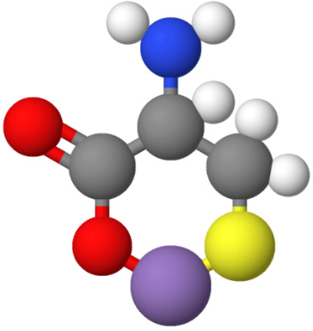 Ball & Stick representation of Metal complex.