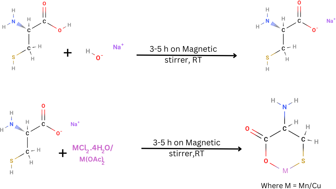 Schematic depiction of Metal Complex creation of Mn (II) / Cu (II).