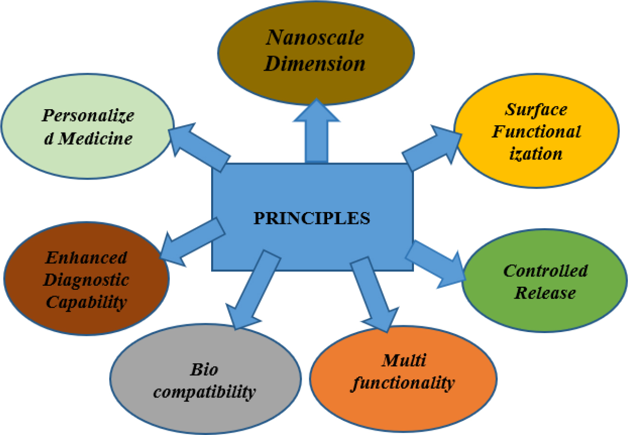 Principles of Nanomedicine in personalized medicine
