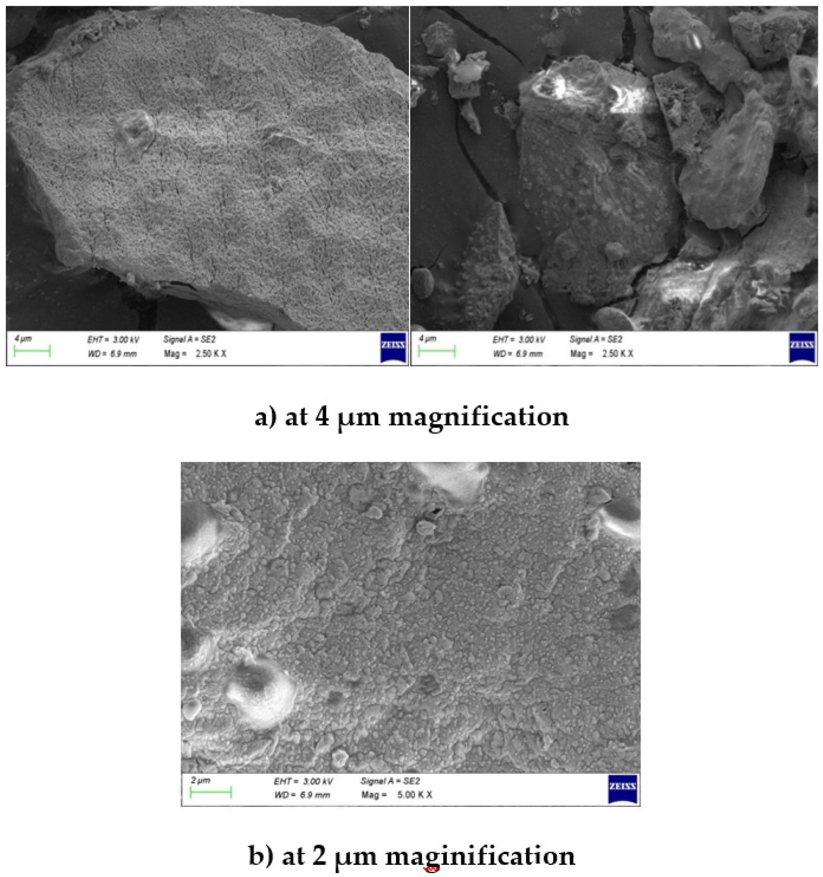 SEM images of ZnONPs at different magnifications.
