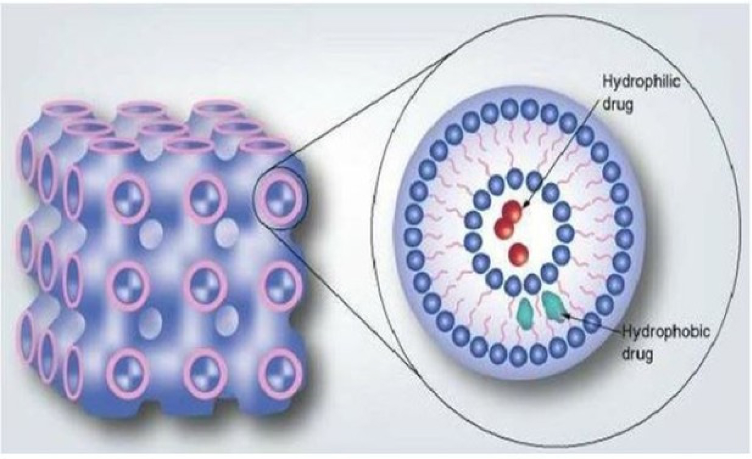 Structure of Cubosome.