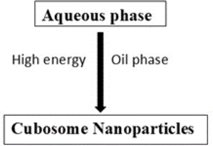Top-down technique for cubosomes preparation.