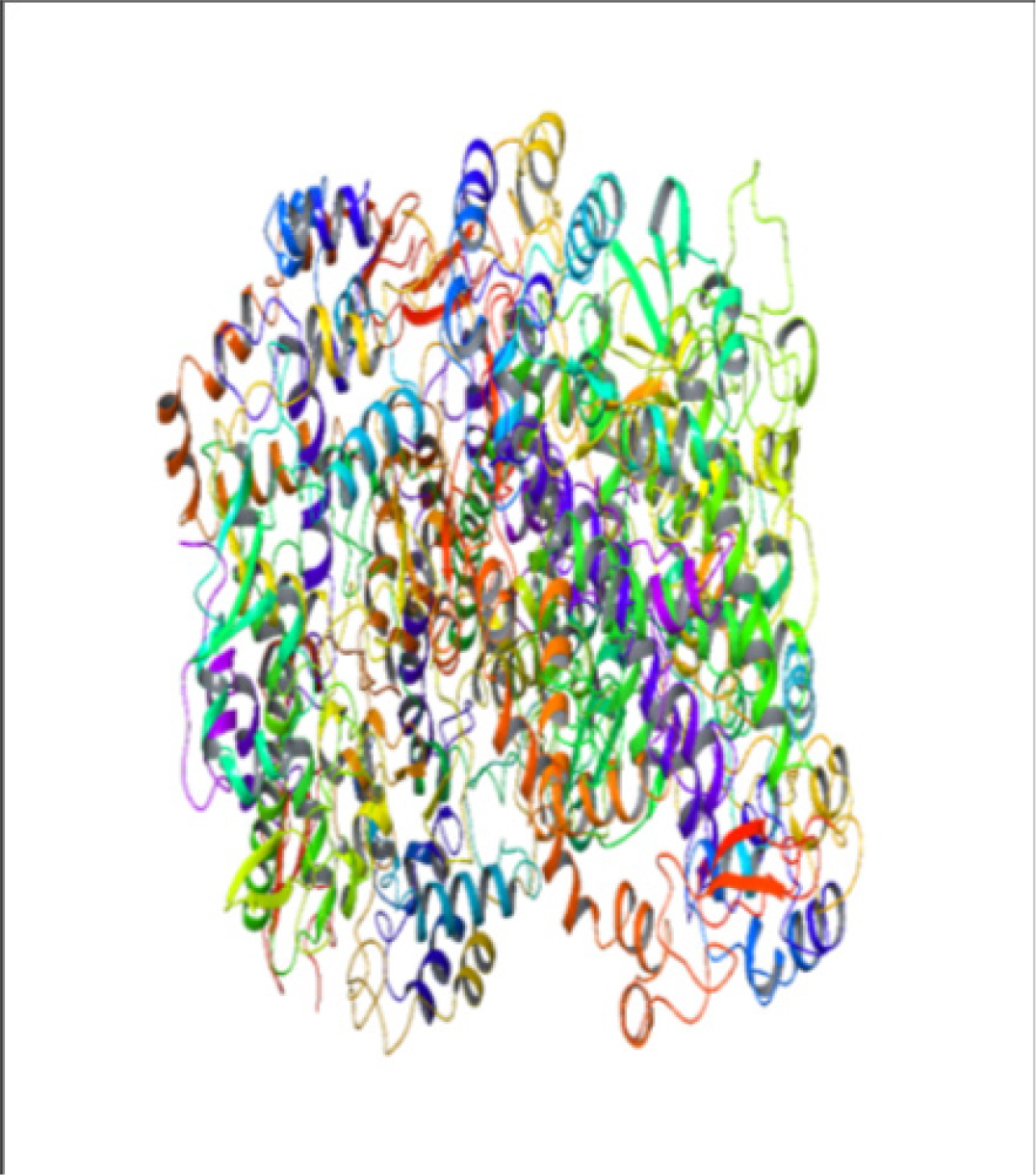 Ribbon Structure Protein structure.