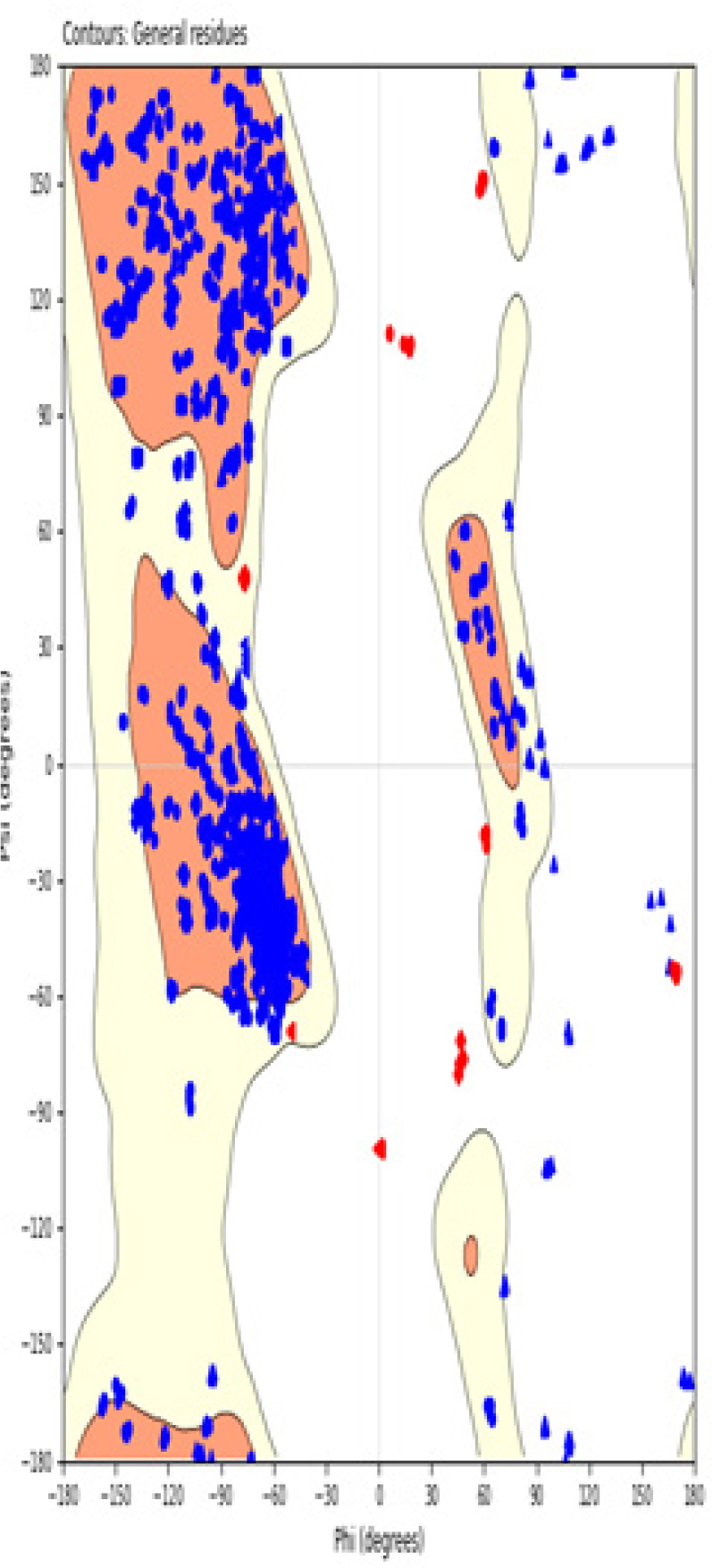 Ramachandran Plot.