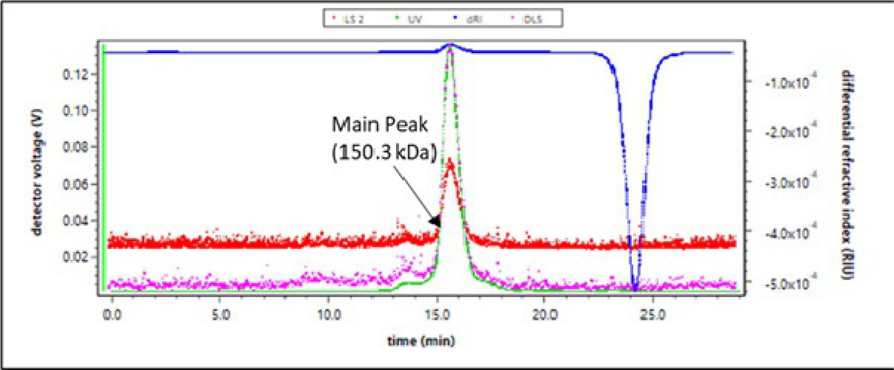 SEC MALS Profile obtained for Cetuximab control sample.
