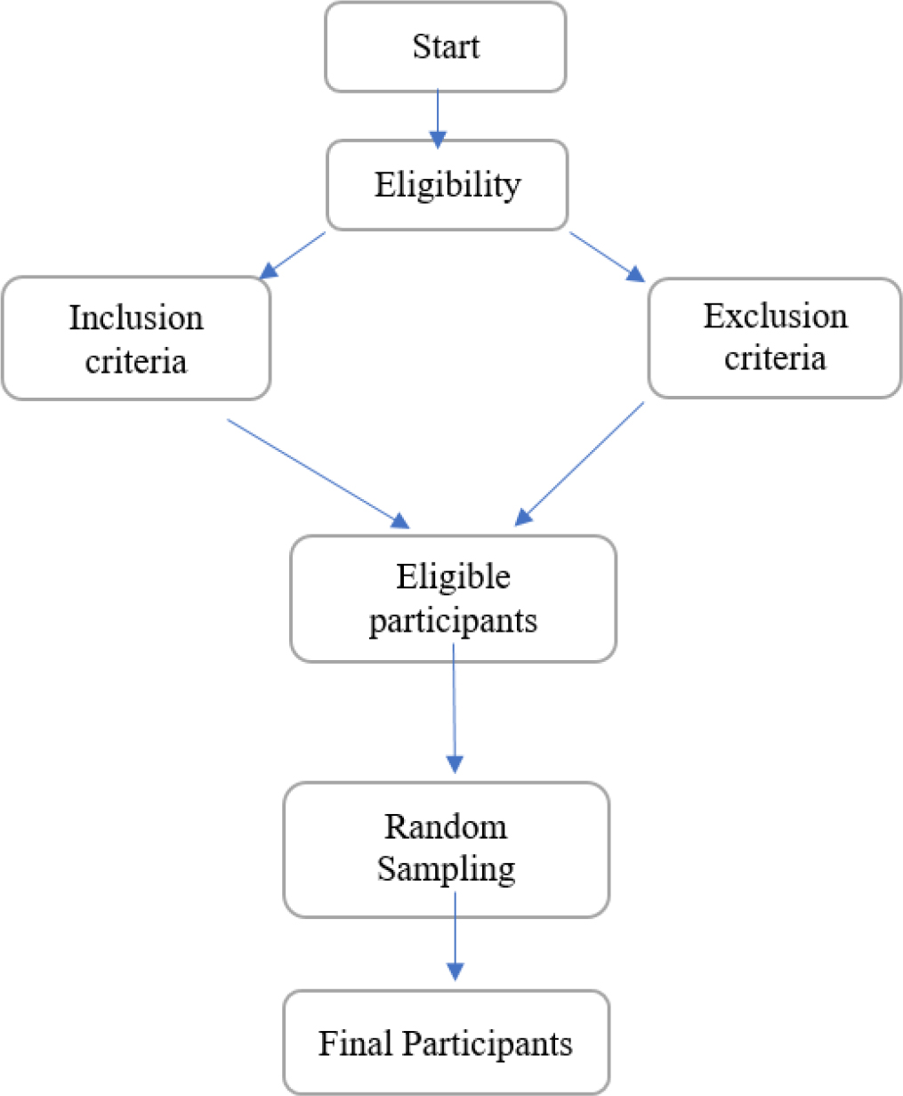Flow diagram of study process and participation outcomes.