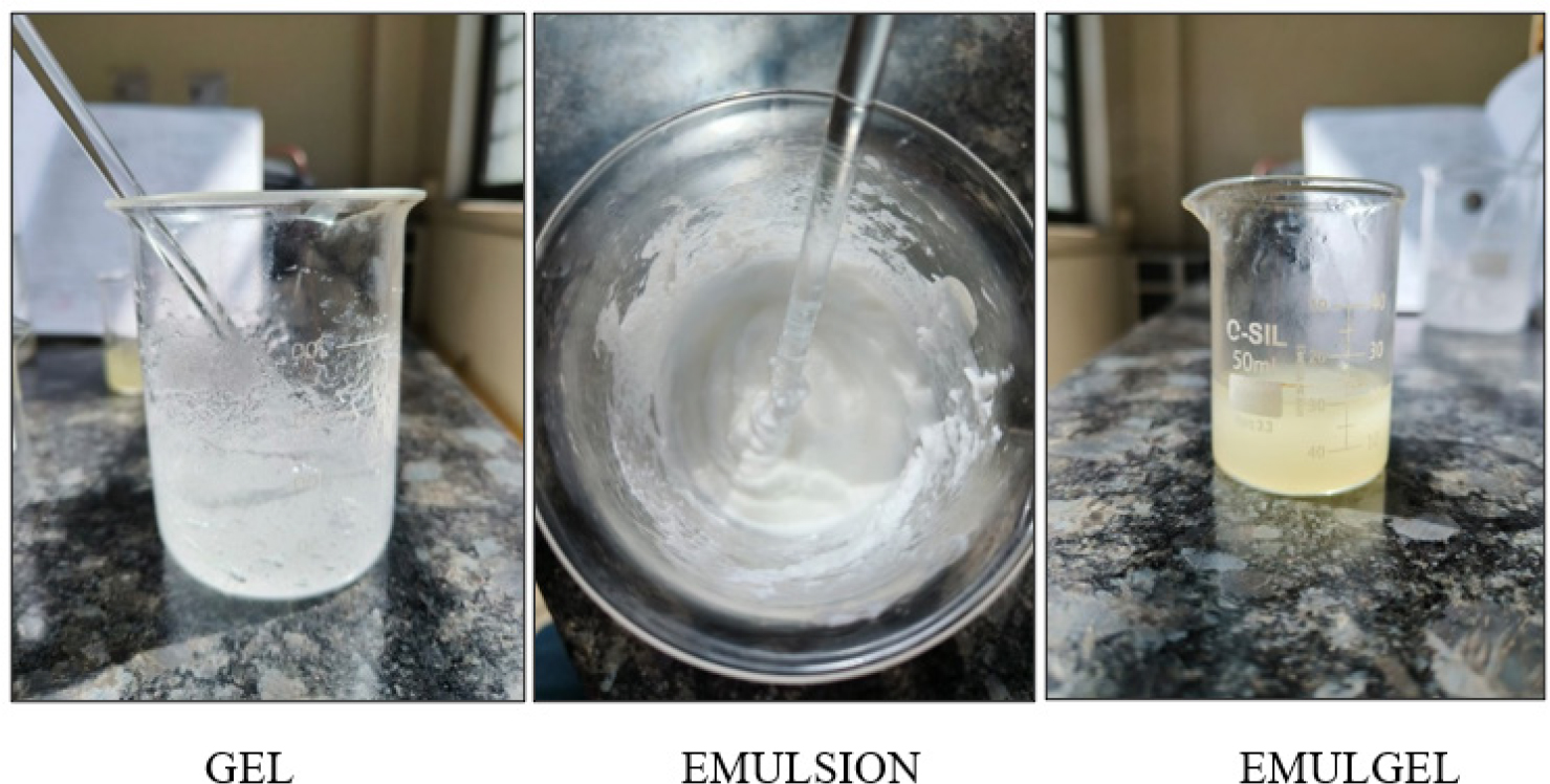 Emulgel preparation process.