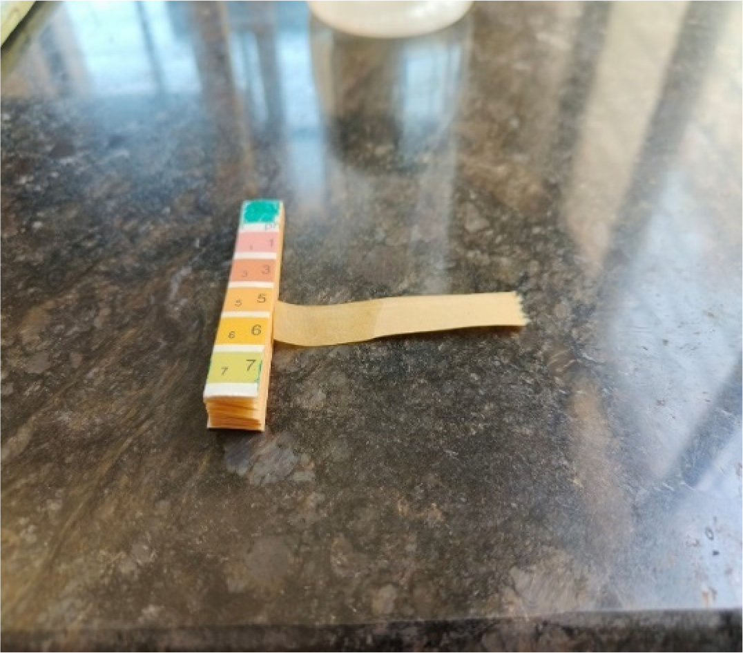 pH Testing.