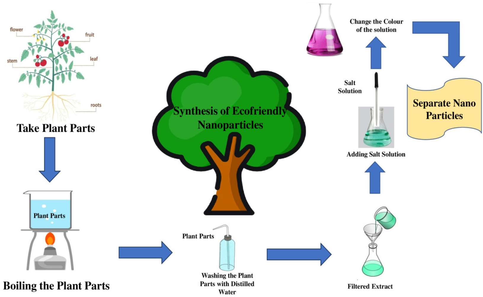 Synthesis of Eco-Friendly Nano Particles.