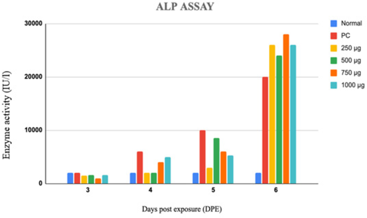Enzymatic activity of Alkaline Phosphatase (ALP) of adult Zebrafish exposed to different concentrations of Limonin across varied time periods.