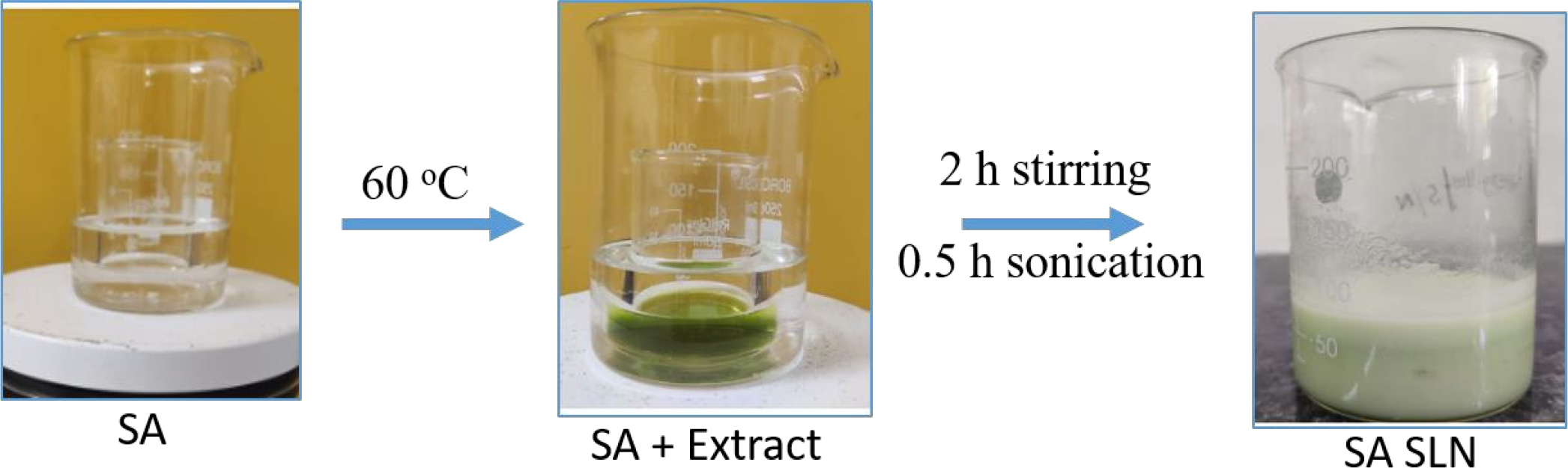 Preparation of ALSNs.