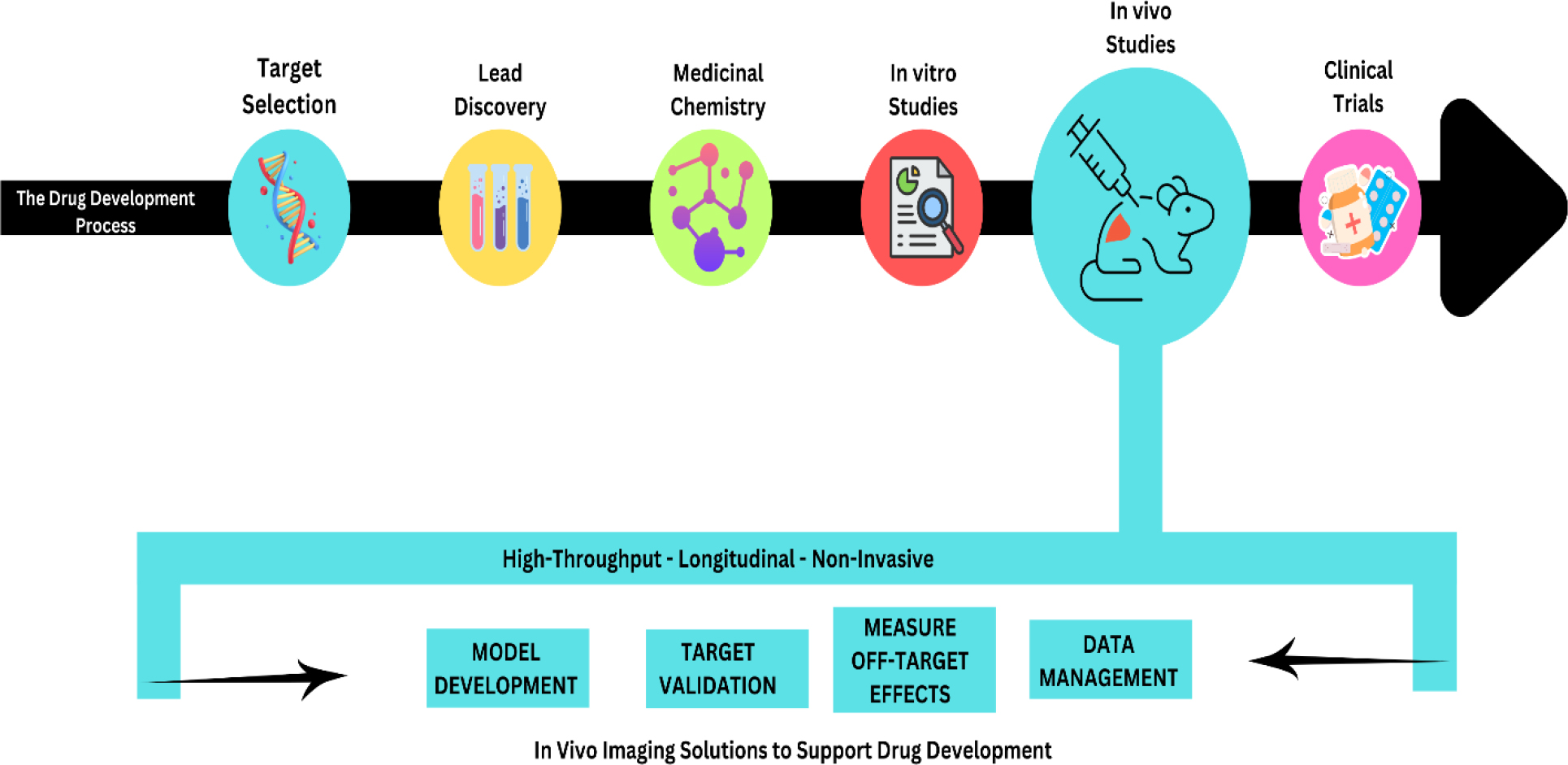 Steps involve in drug dicovery and development process includes.