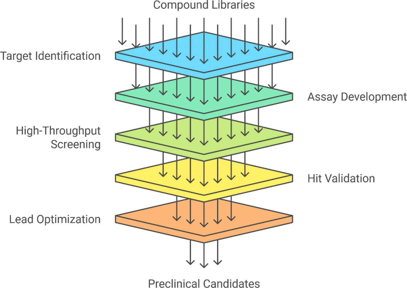 Step-by-step breakdown of how HTS works in the drug discovery process.