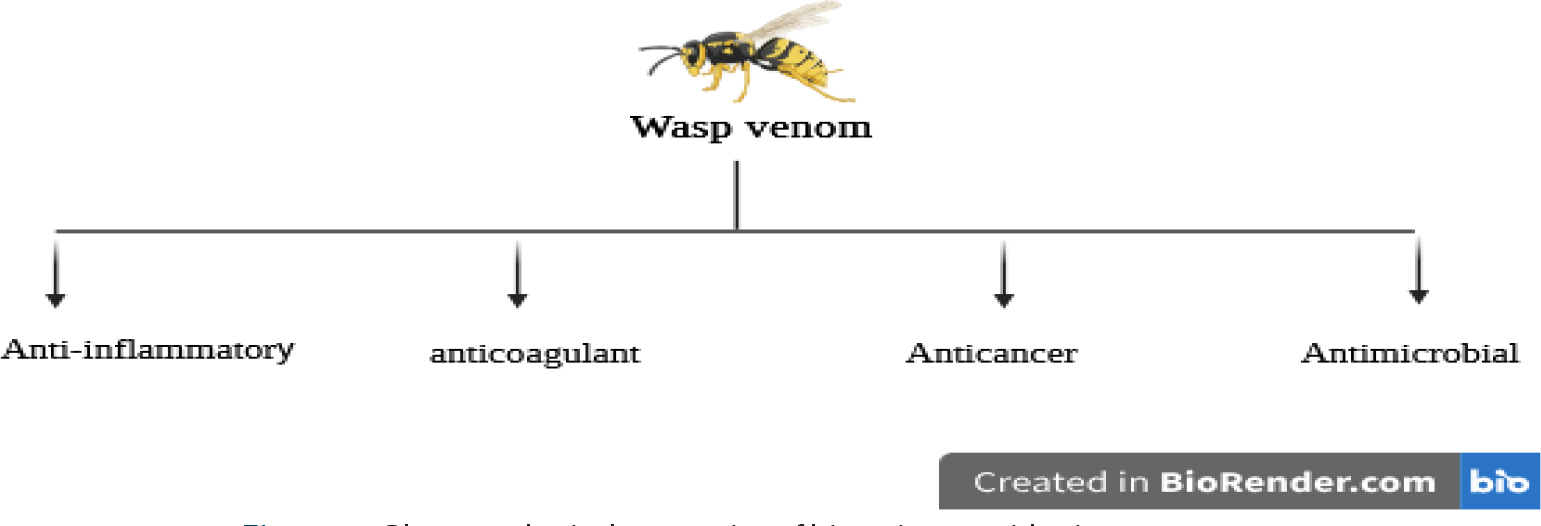 Pharmacological properties of bioactive peptides in wasp venom.
