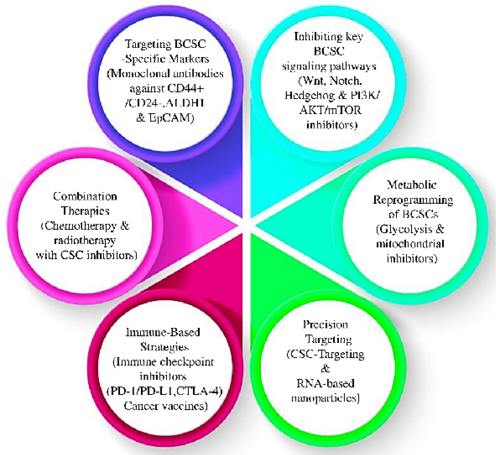 Hypothetical model showing integrated multi-targeted therapy for BCSC eradication.
