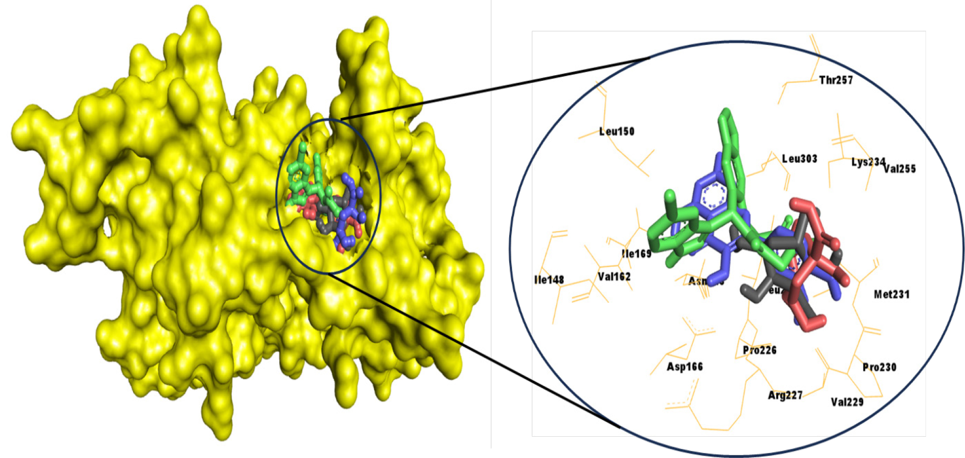 Superimposed view of the top three screened compounds (colored sticks) and the control compound (green) within the PIP5K1α binding site.