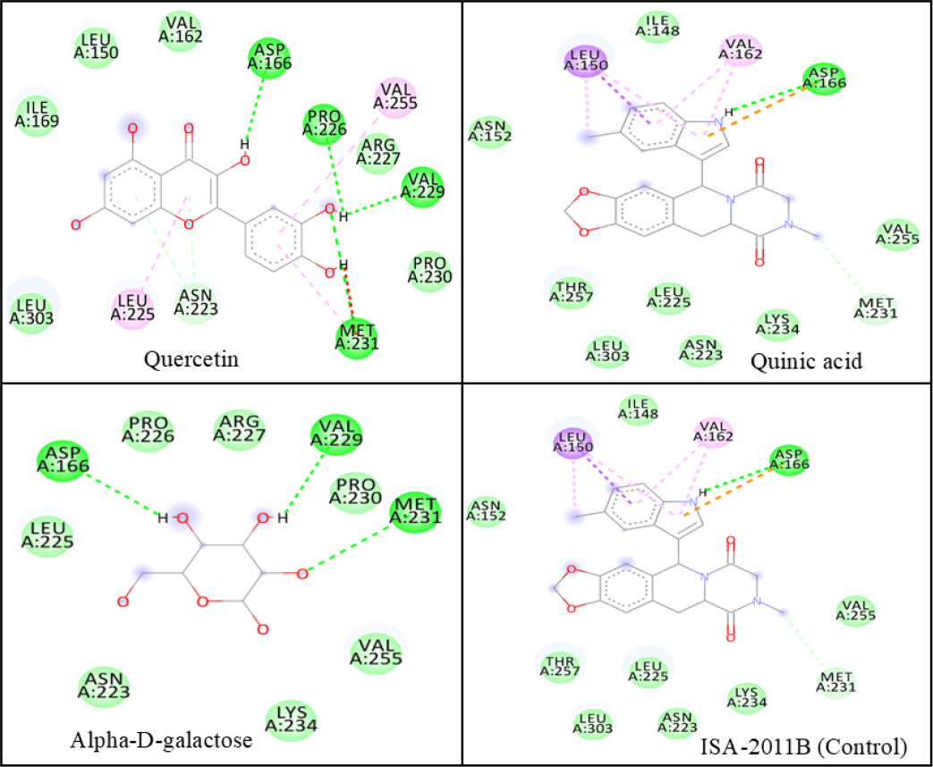 2D interaction diagrams of the top three compounds with the PIP5K1α active site.