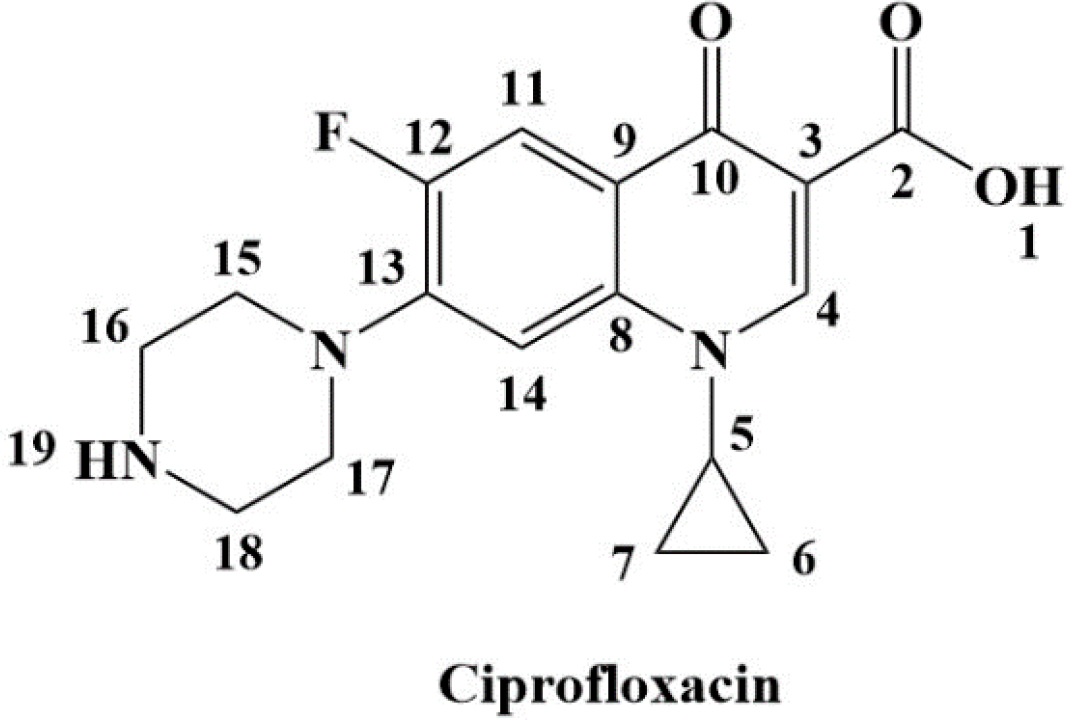 Structure of Ciprofloxacin.