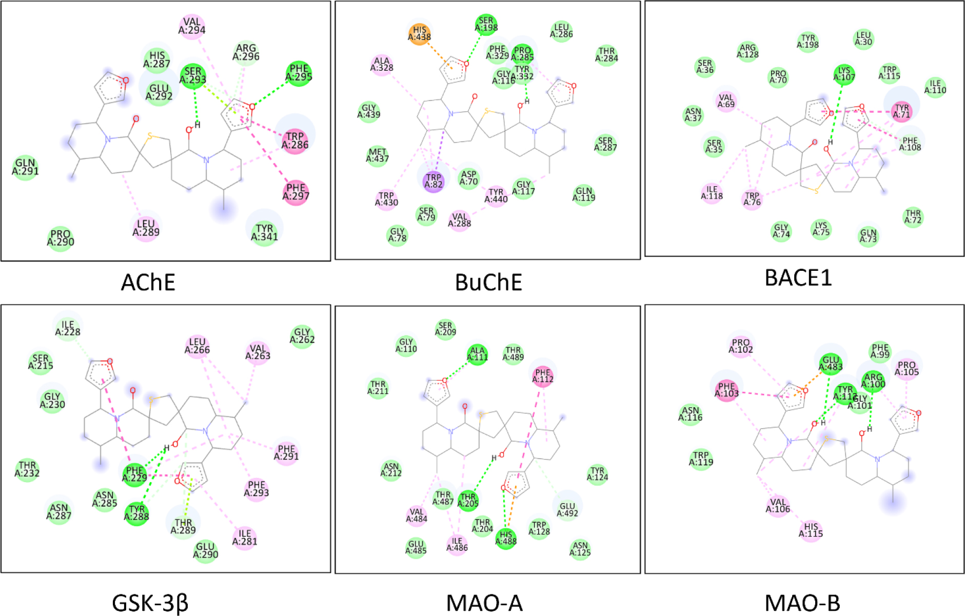 Interaction of DTBN with AChE, BuChE, BACE1, GSK-3β, MAO-A, MAO-B.