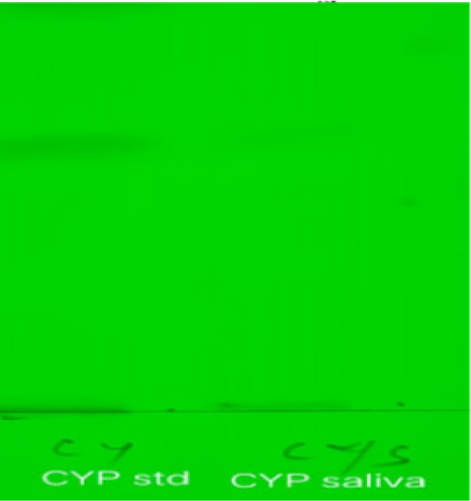 HPTLC band Chromatogram of standard and sample Lamda Cyhalothrin.