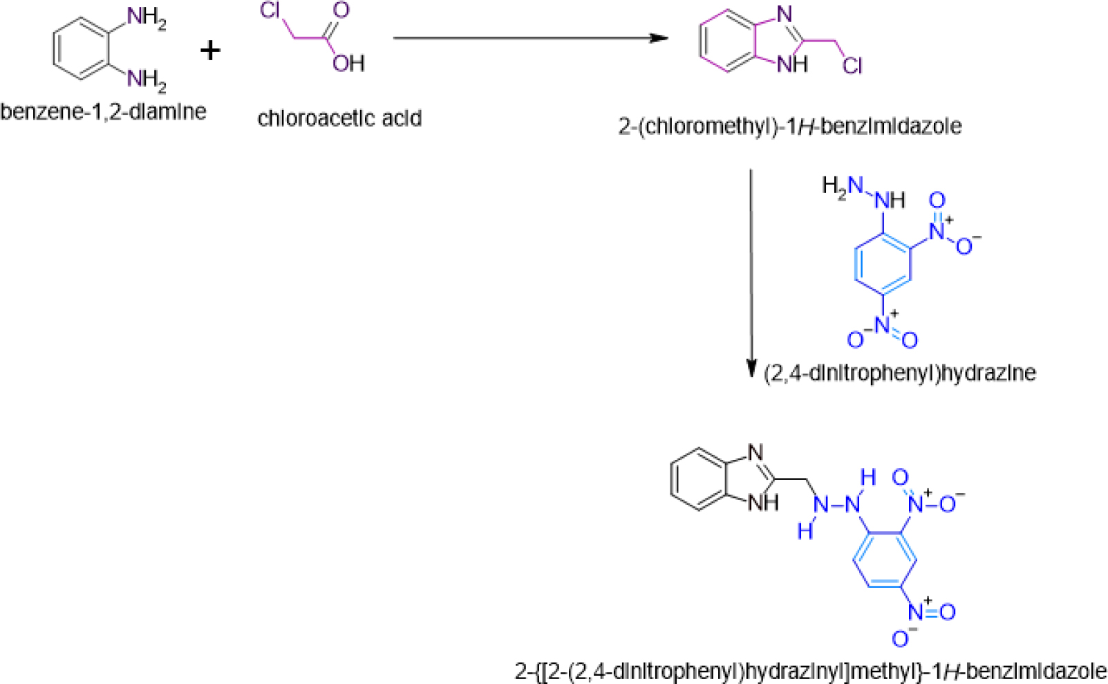 Scheme of Benzimidazole.