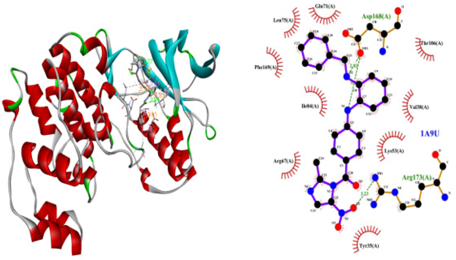 2D and 3D conformations of the molecular bindings and Computer-Aided Molecular Design (CAMD) of VT 1.