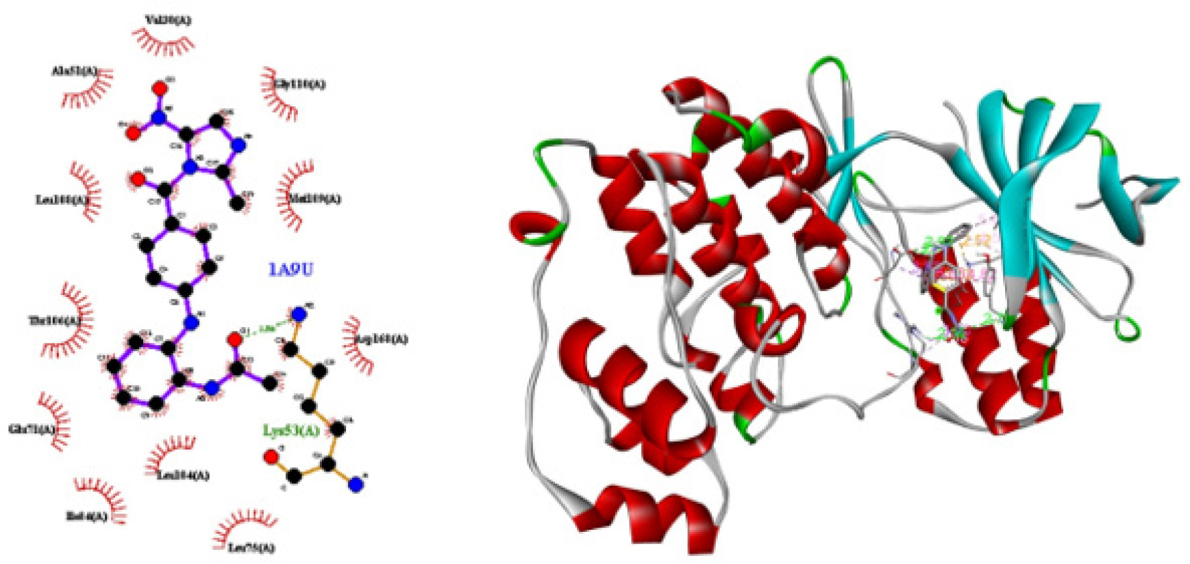 2D and 3D conformations of the molecular bindings and Computer-Aided Molecular Design (CAMD) of VT 4.