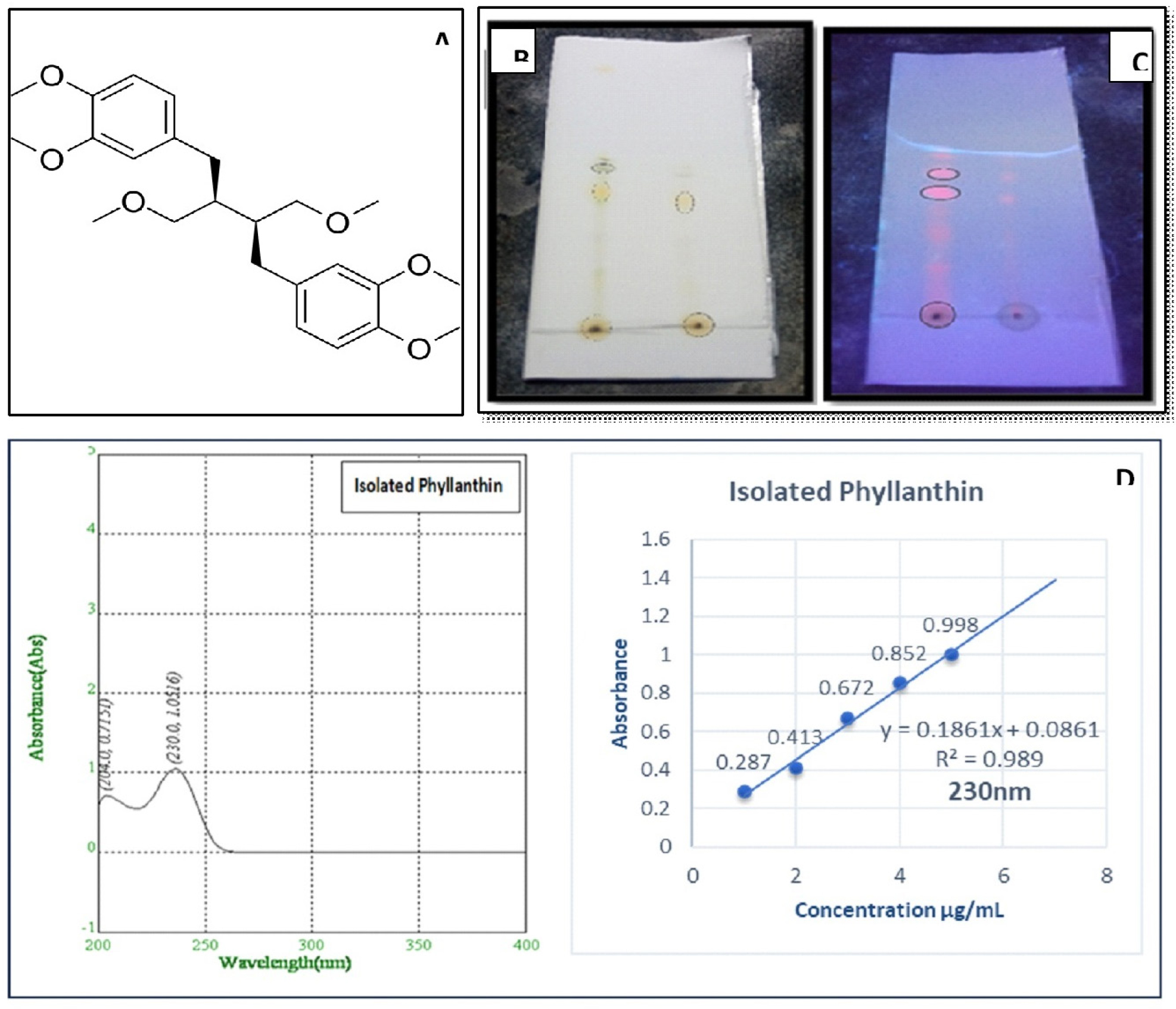 Characterization of isolated phyllanthin. Chemical structure (A); TLC visualized in normal light (B) and in UV Chamber (C); UV spectra in ethanol (D). The FT-IR spectrum of isolated phyllanthin showed peaks at 3078.22 cm⁻¹ (C-H stretching aromatic), 1654.42 cm⁻¹ and 1605.01 cm⁻¹ (benzene ring), 1499.68 cm⁻¹ (aromatic ring -C=C), 1355.79 cm⁻¹ (-CH stretching), 1241.69 cm⁻¹ and 1174.22 cm⁻¹ (-CO stretch of methoxy), 905.87 cm⁻¹, 828.24 cm⁻¹ and 739.34 cm⁻¹ (aromatic and trans -CH). HPLC showed a Retention time (Rt) of 6.725 min for the isolated phyllanthin, matching the reported standard phyllanthin Rt of 6.702 min by Annamalai and Lakshmi (2009) (Figure 2).