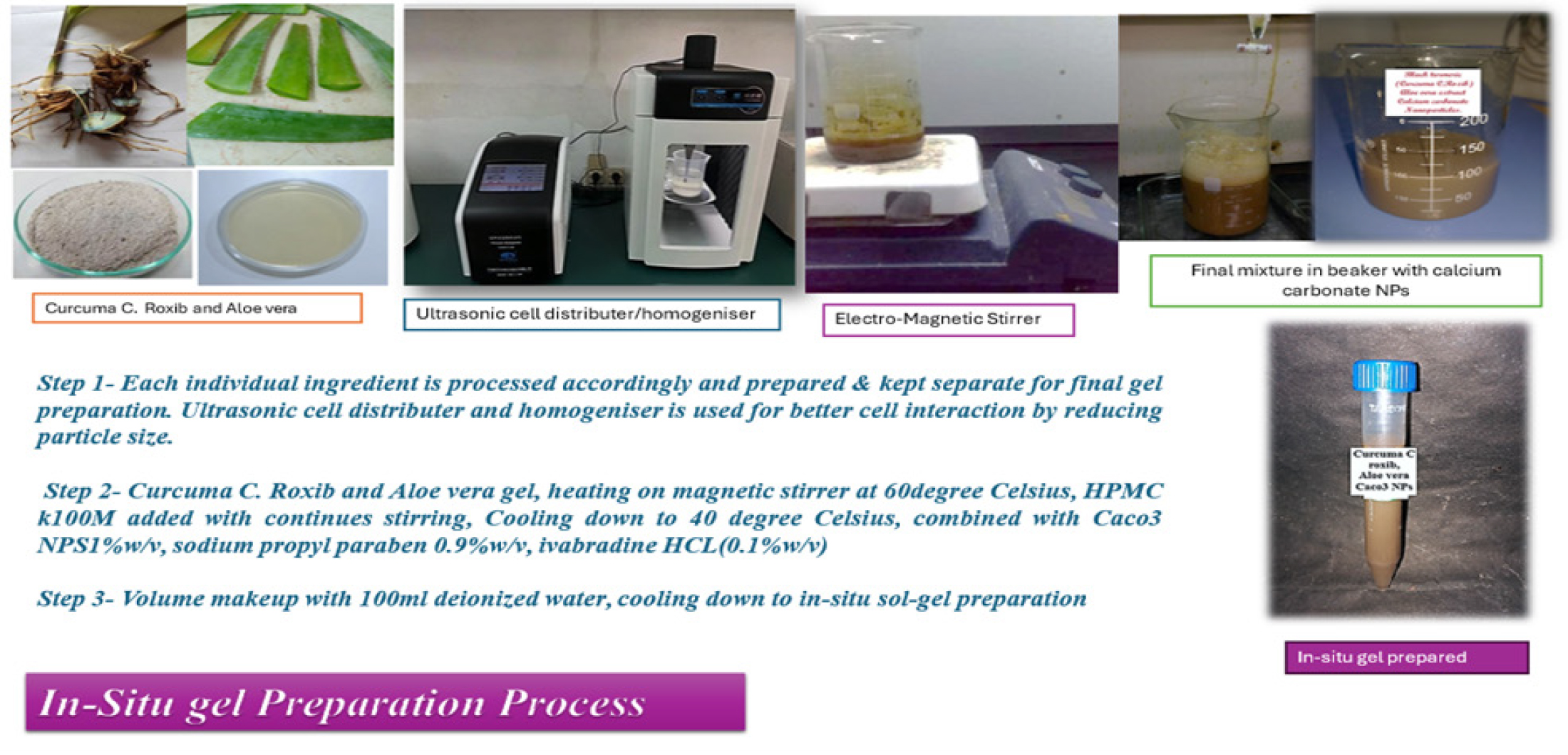 In situ Gel preparation.