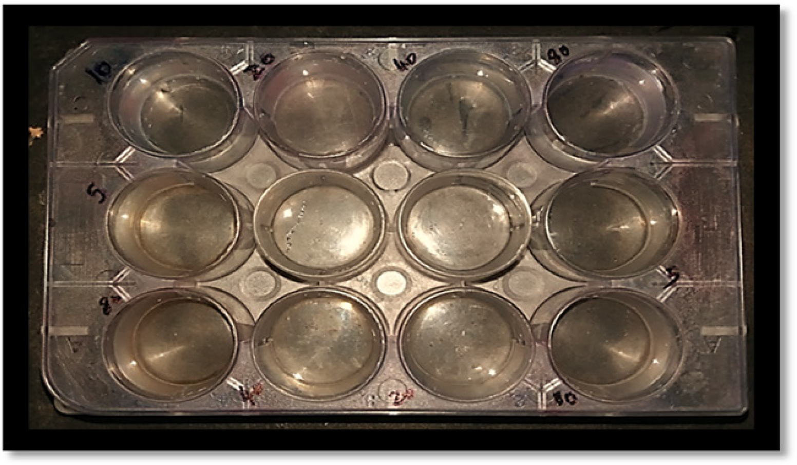 In situ gel used in different concentrations and compared with a control group.