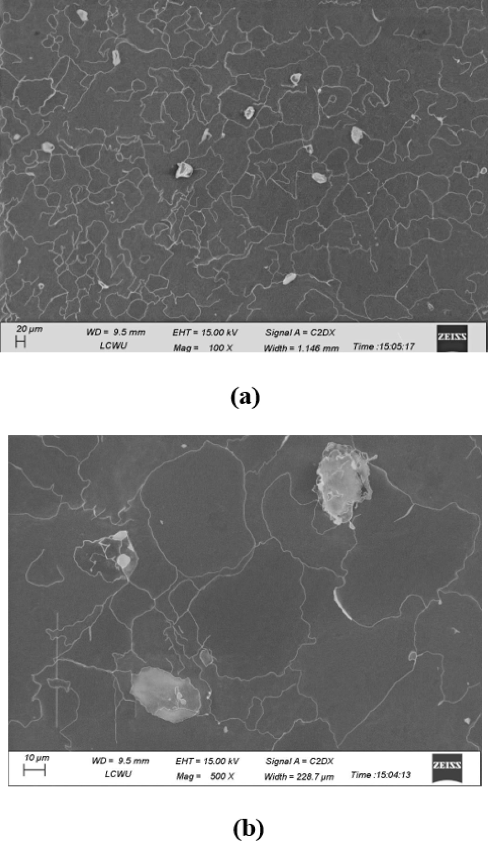 SEM images of transdermal patches. (a) Surface morphology of the unloaded patch at 100× magnification (scale bar = 20 µm; working distance = 9.5 mm; EHT = 15.00 kV). (b) Surface morphology of the drug-loaded patch at 500× magnification (scale bar = 10 µm; working distance = 9.5 mm; EHT = 15.00 kV).