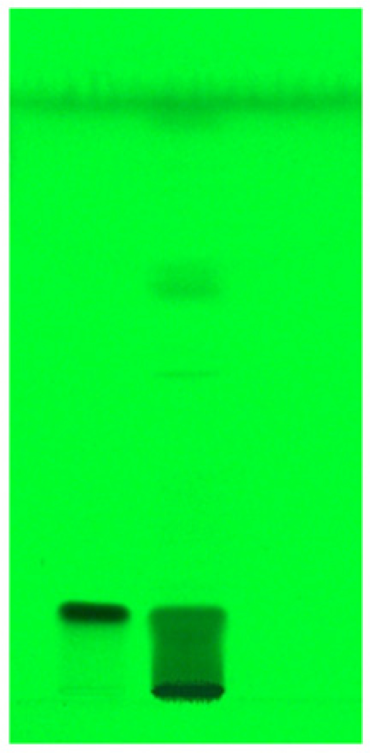 HPTLC image formation of Amalaki Rasayana Churna at 254 nm.